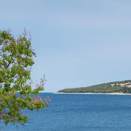 Mas Plaza - Adults Only